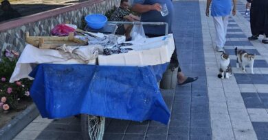 Seyyarın başkenti Mudanya